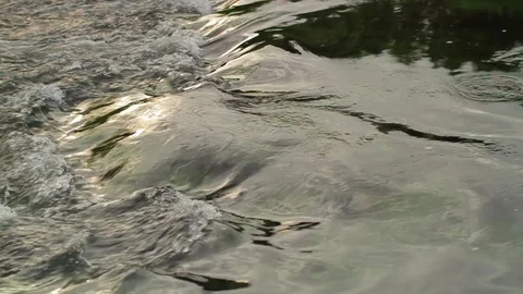 Close up shot of a a small stream with black stones Stock Footage 86764576