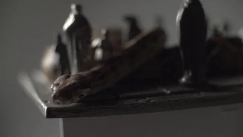 Close shot of Snake crawling through an iron chess board. Super slow motion Stock Footage 101866307