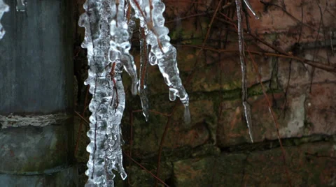 Close up shot of some icicles melting Stock Footage 37868061