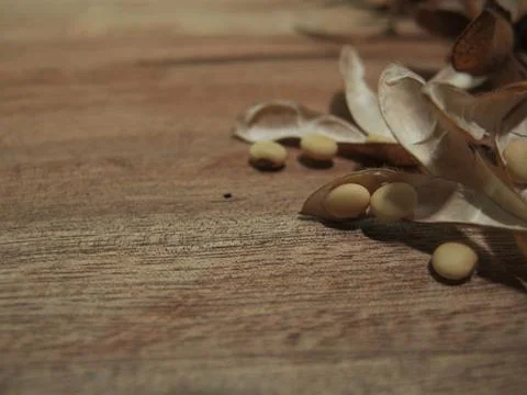 Close up shot of Soy beans Stock Photos