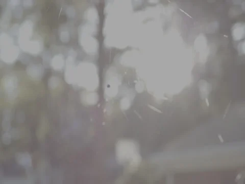 Close Up Shot of Spider Web Super Slow Mo Video stock 85039371