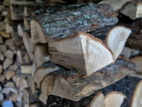 Close-up shot of split oak wood stacked in a pile Foto stock