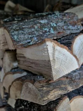 Close-up shot of split oak wood stacked in a pile Stock Photos