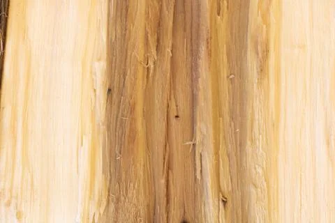 Close up shot of split wood texture background - good for design Stock Photos