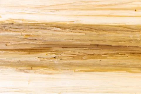 Close up shot of split wood texture background - good for design Stock Photos