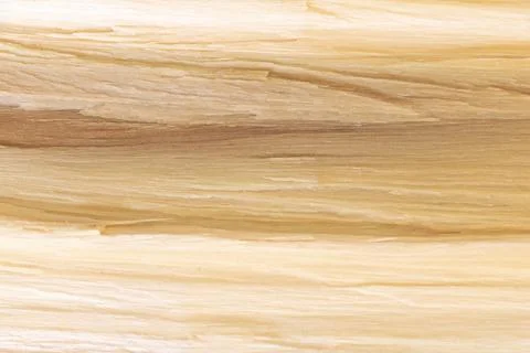 Close up shot of split wood texture background - good for design Stock Photos