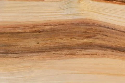 Close up shot of split wood texture background - good for design Stock Photos