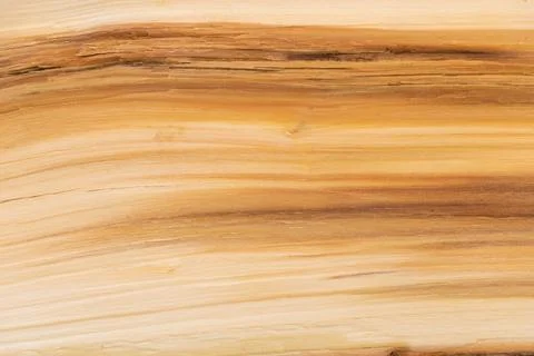 Close up shot of split wood texture background - good for design Stock Photos