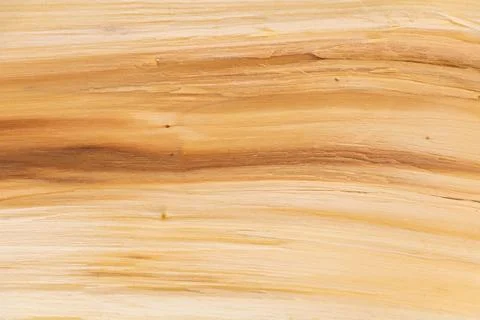 Close up shot of split wood texture background - good for design Stock Photos
