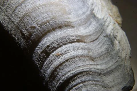 Close up shot of a stone on dark background 스톡 사진
