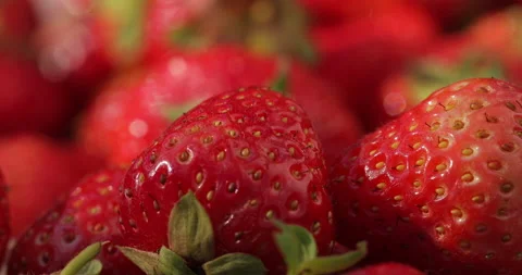 Close-up shot of strawberries Stock Footage 135628997