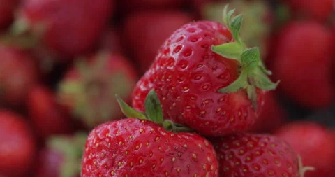 Close-up shot of strawberries. Stock Footage 135632820