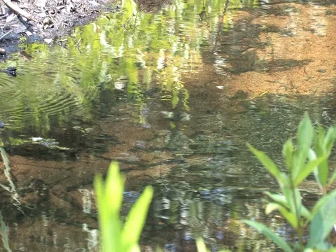 Close Shot of a Stream with Ripples Stock Footage 128718789