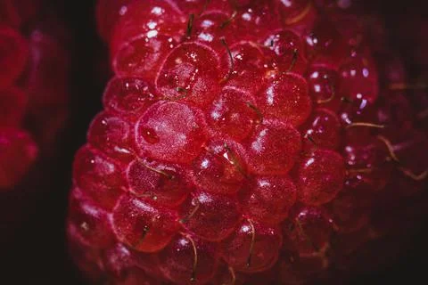 Close up Shot Of Surface of Raspberry Foto stock