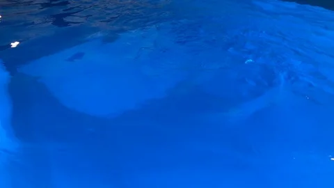 Close-up Shot Of Swimming Pool Stock Footage 93601647