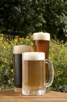 A close shot of three types of beer, a blonde lager, an amber and a dark stou Stock Photos