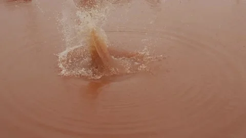Close shot of throwing stone in dirty water Stock Footage 156990909