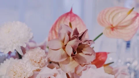 Close up shot with tilt down and parralax of beautiful asters and roses Stock Footage 98734579