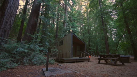 Close-up shot of a tiny cabin in the woods, surrounded with mighty, tall trees Stock Footage 223605253