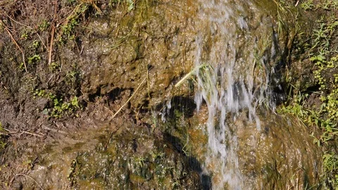 Close up shot of tiny waterfall in rice terraces, Bali Vídeos de archivo 140306107