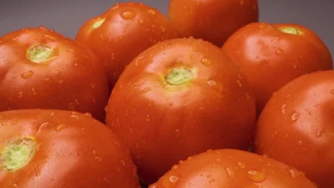 Close-up shot of tomatoes with a sliding camera motion. Stock Footage 313802915