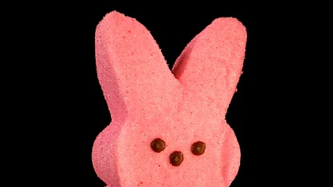 A close up shot of the top of a sugary candy bunny is rotating in a circle. Stock Footage 127376441