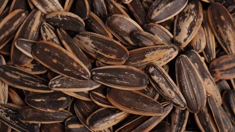 Close up shot top view of the spinning sunflower seeds Stock Footage 275248487