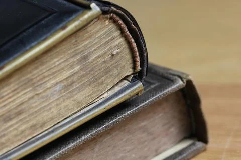 Close-up shot of two closed books on the table with old weathered pages Stock Photos