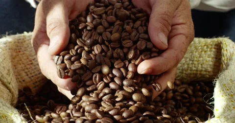Close shot of two hands flipping brown coffee beans inside a bag. Stock Footage 221242039