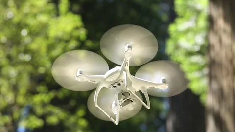 Close shot from underneath of drone hovering in Redwood forest Stock Footage 73025743