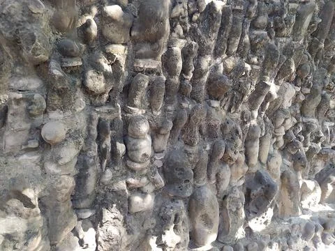 A close up shot of various objects , background in the rock garden. Foto stock