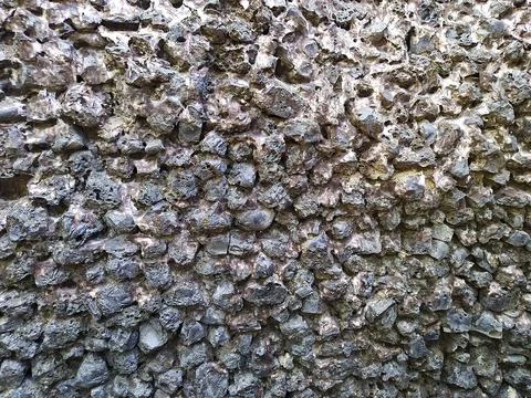 A close up shot of various objects , background in the rock garden. Stock Photos