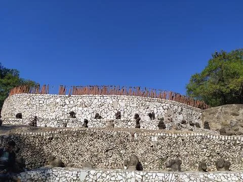A close up shot of various objects , background in the rock garden. Foto stock