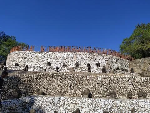A close up shot of various objects , background in the rock garden. Foto stock