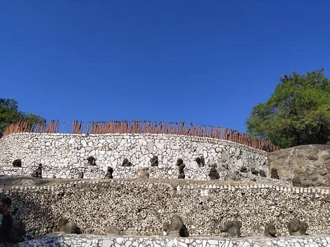 A close up shot of various objects , background in the rock garden. Stock Photos