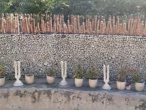 A close up shot of various objects , background in the rock garden. Foto stock