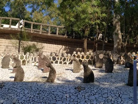 A close up shot of various objects , background in the rock garden. Stock Photos