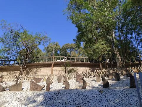 A close up shot of various objects , background in the rock garden. Stock Photos