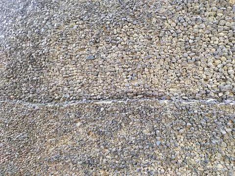 A close up shot of various objects , background in the rock garden. Stock Photos