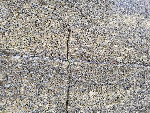 A close up shot of various objects , background in the rock garden. Stock Photos