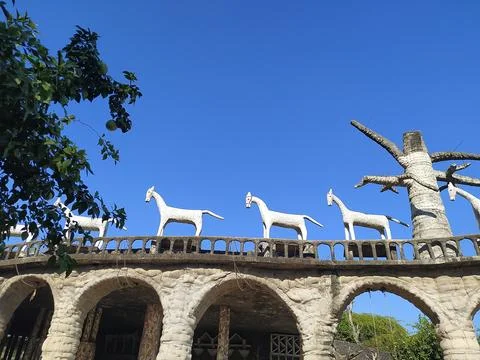 A close up shot of various objects , background in the rock garden. Stock Photos