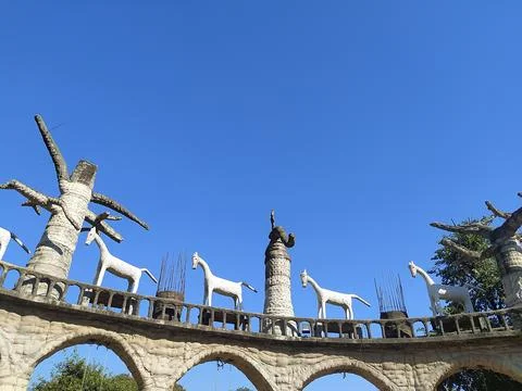 A close up shot of various objects , background in the rock garden. Stock Photos