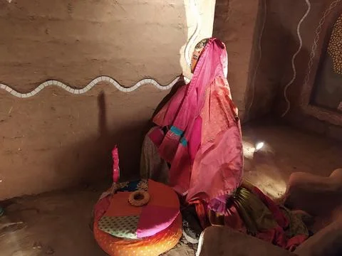 A close up shot of various objects , background in the rock garden. Stock Photos