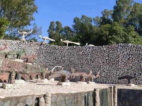 A close up shot of various objects , background in the rock garden. Stock Photos