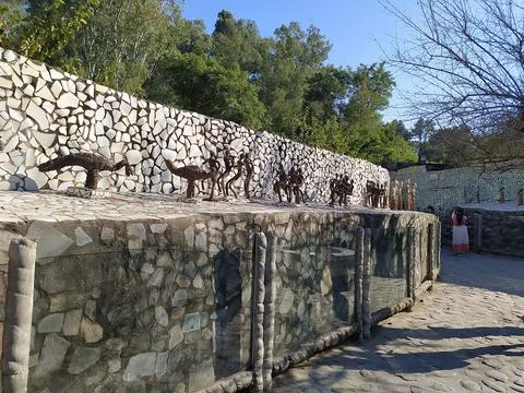 A close up shot of various objects , background in the rock garden. Stock Photos