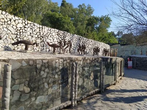 A close up shot of various objects , background in the rock garden. Stock Photos