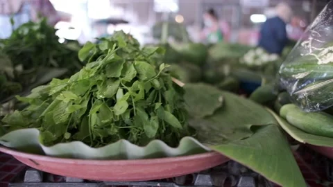 Close up Shot of Vegetables At Market Stock Footage 146437225