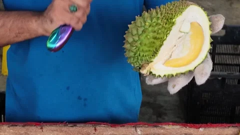 Close-up shot: A vendor uses a knife to cut open a durian. Video stock 342360586