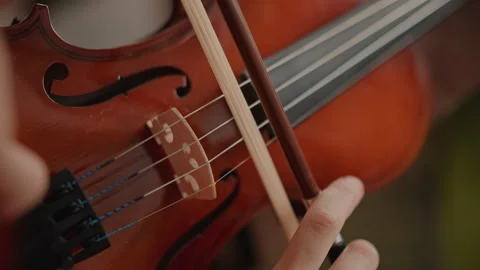 Close shot of violin features. Macro view showcasing instrument string movement Stock Footage 346555689