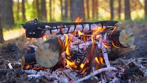 Close-up shot of warm cozy burning fire in a brick fireplace. Slow motion. HD Видео 110810591